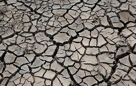 生物有機肥有效改善土壤質量